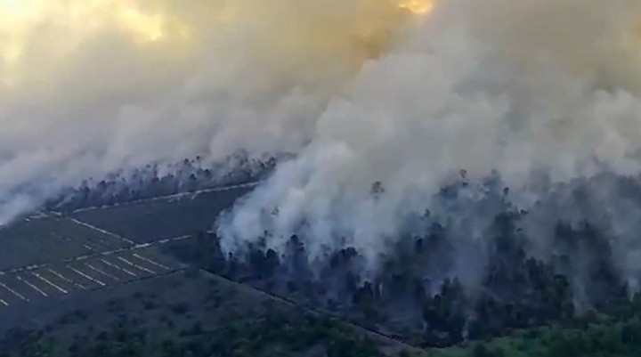 Kebakaran Lahan di Riau Meluas