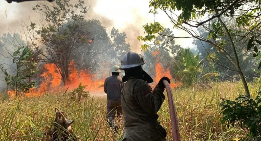 Delapan Hektare Lahan di Kabupaten Bintan Terbakar