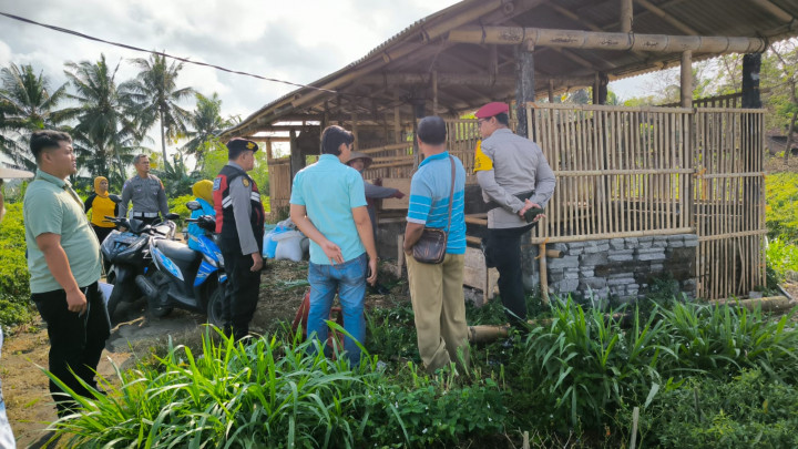 12 Ekor Kambing Milik Warga Kulon Progo Raib Dicuri