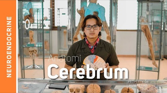 Muhana Fawwazy Ilyas, Dokter <i>Fresh Graduate</i> UNS yang Punya 15 Artikel Terindeks Scopus