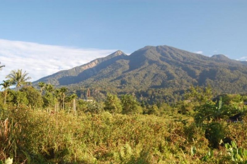 Gatuan di Gunung Tandikat Sumba Terindikasi Retak Akibat Gempa