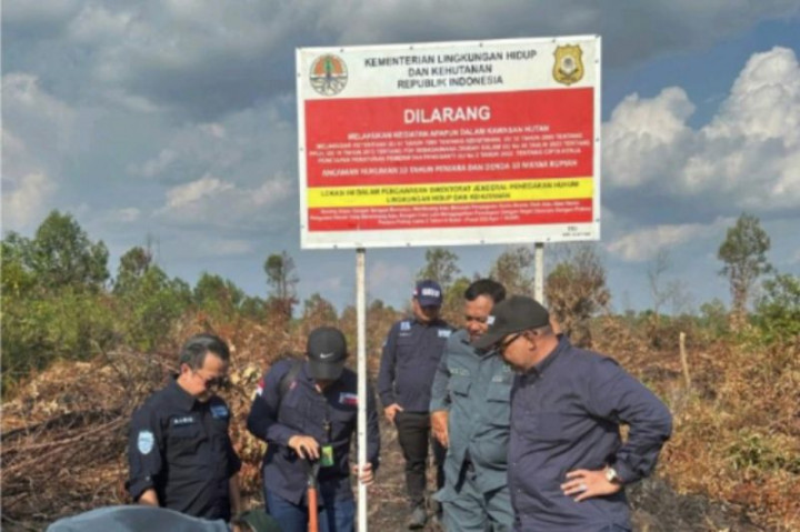 KLHK Segel 15 Hektare Lahan di Hutan Produksi yang Terbakar