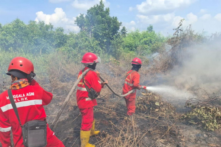 KLHK Tingkatkan Penegakan Hukum Karhutla Riau