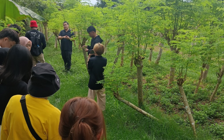 Mori Farm, Wajah Pertanian Berkelanjutan Brunei Darussalam