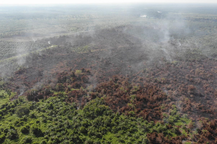 Ratusan Titik Panas Karhutla Masih Membara di Sumatra