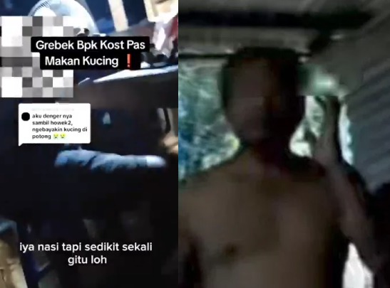 Berdalih untuk Obati Diabetes, Pemilik Kos Ini Makan 10 Kucing Selama Setahun