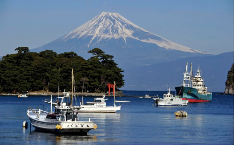 Jepang dilanda gempa 7,1 magnitudo picu tsunami. Foto: EFE-EPA