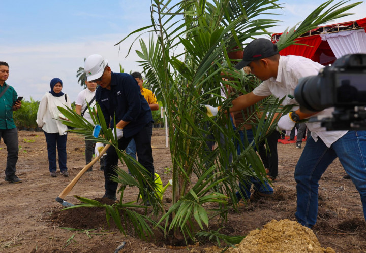 Begini Cara PalmCo Rangkul Petani Sawit Indonesia