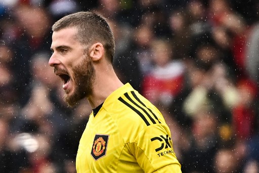 Resmi, David de Gea Lanjutkan Karier bersama Fiorentina