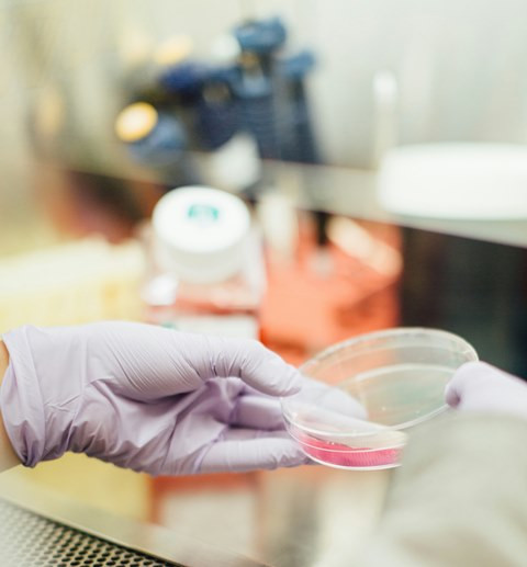 5 Daftar Bakteri Mematikan di Dunia, Hih! Sampai Ditakuti Ilmuwan