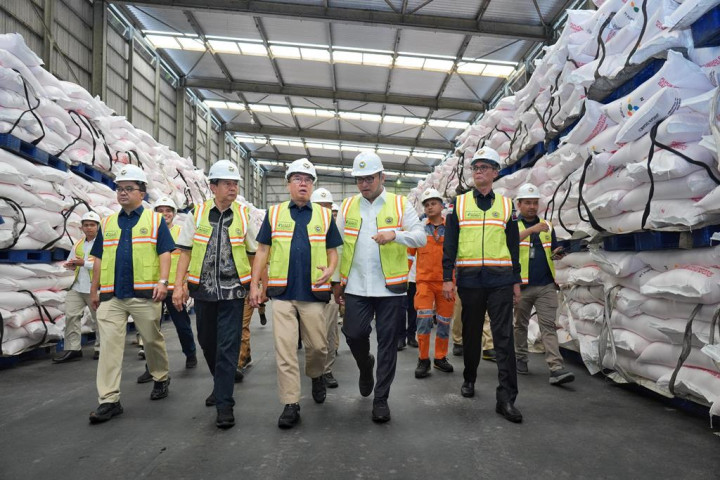 Ketersediaan Pupuk Bersubsidi Bisa Bikin RI Wujudkan Ketahanan Pangan