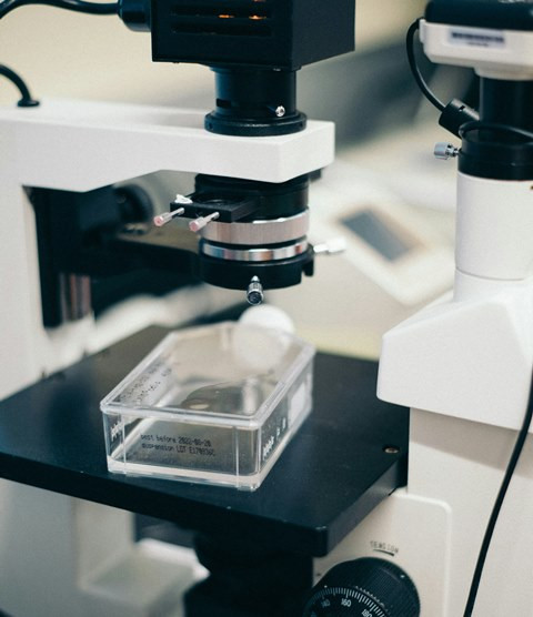 3 Berita Terpopuler Gaya: Daftar Bakteri Mematikan di Dunia Hingga Nyeri Payudara Saat Haid