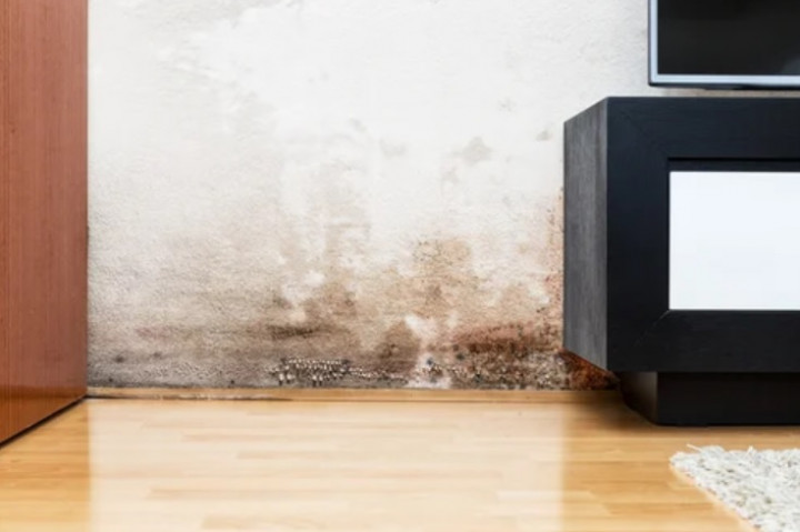 Penyebab Dinding Lembab dan Cara Mencegahnya