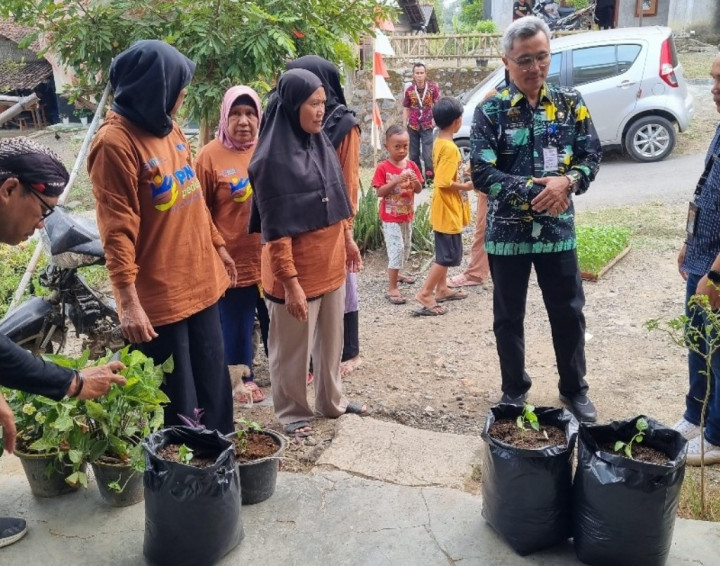 Harga Tidak Stabil, Warga Desa Dapat Bantuan 1.500 Bibit Cabai dari PNM