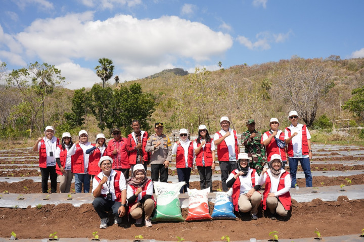 Nelayan NTT Manfaatkan Pekarangan Demi Ciptakan Kemandirian Pangan