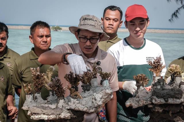 Menparekraf Lakukan Transplantasi Terumbu Karang di Desa Wisata Pulau Pramuka