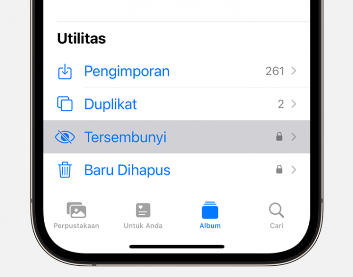 Biar Privasi Terjaga, Ini Cara Mudah Sembunyikan Foto dan Video di Galeri iPhone