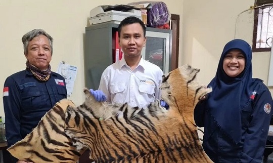 Dosen UGM Terpilih Jadi Anggota Ahli Forensik Satwa Liar Internasional SWFS