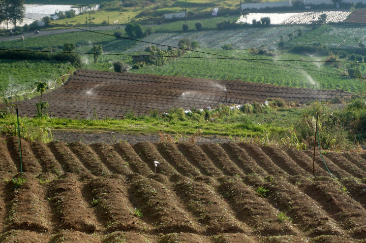 Kekeringan, Ratusan Petani Kawasan Dieng Sedot Telaga Merdada
