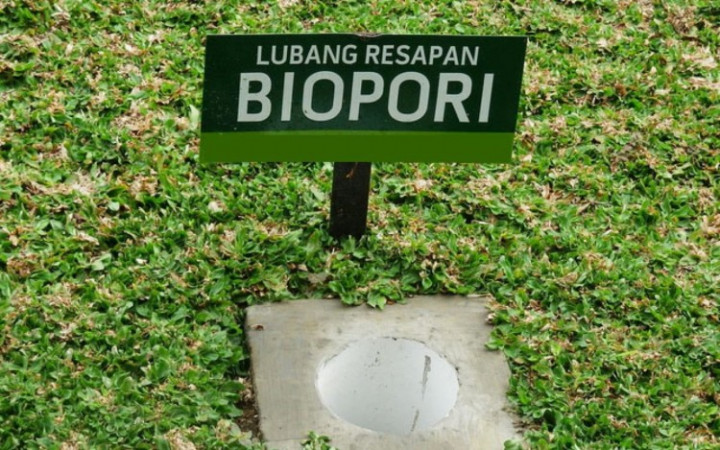 Mengenal Biopori untuk Rumah dan Manfaatnya