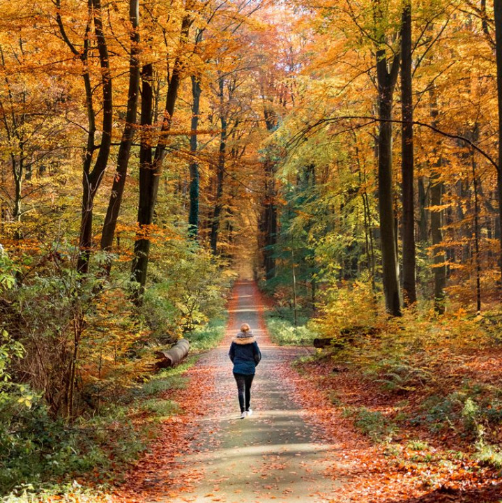 Tips Memulai Rutin Berjalan Kaki untuk Kesehatan