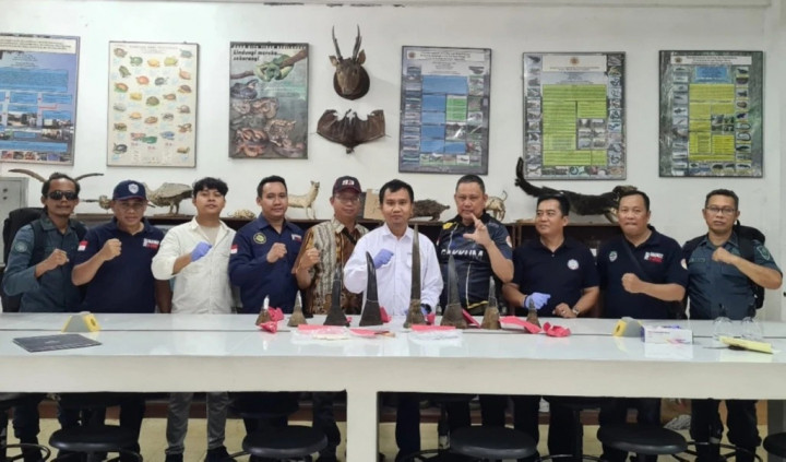 Berkat Dosen UGM, Perdagangan Cula Badak Senilai Rp245 Miliar Berhasil Digagalkan
