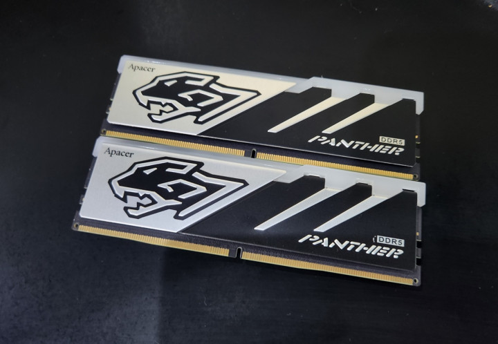 Apacer Panther RGB DDR5, Keren dan Harga Bersaing