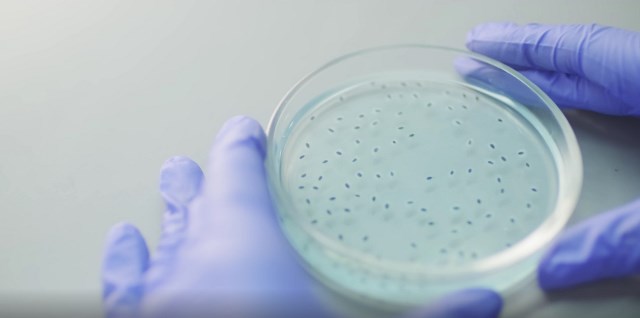 3 Berita Terpopuler Gaya: Daftar Patogen Global Hingga Praktik Mindfulness