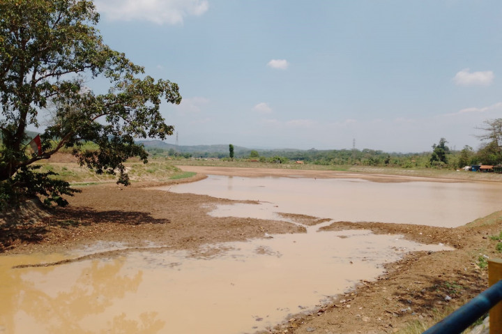 Situ Cigangsa Mengering, 370 Hektare Sawah Terancam