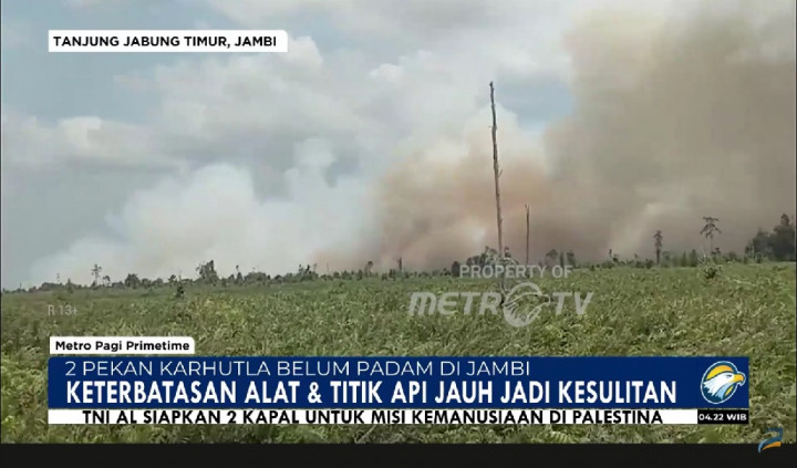 Karhutla di Jambi Tak Kunjung Padam walau Dua Pekan Berjalan