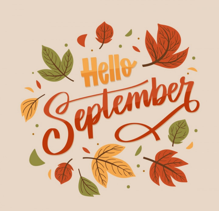 Si Sempurna di Bulan September: Belajar dari Kecoa yang Gagal Jadi Pemimpin