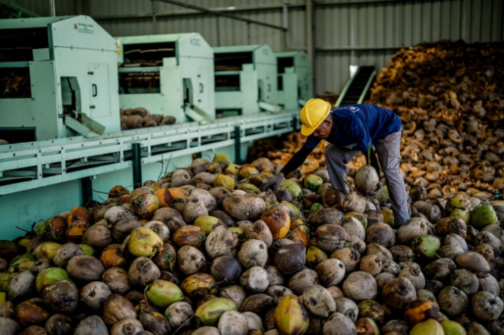 Pabrik Pengolahan Kelapa Dorong Pengembangan Industri Agro Bisnis