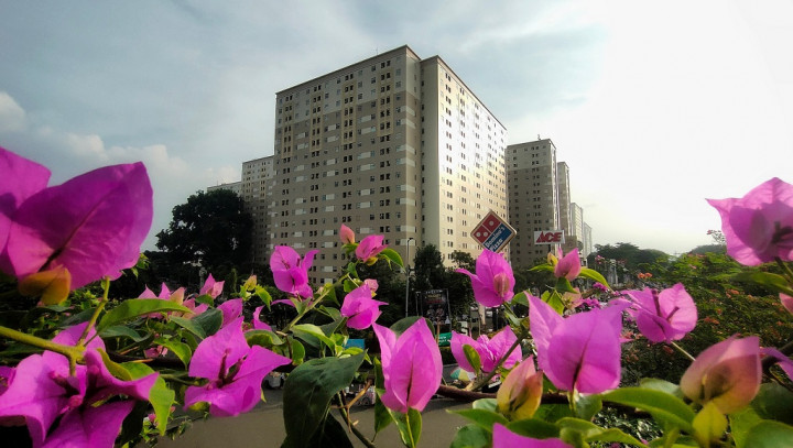 Berita Terpopuler Properti: Bisnis Tanpa Modal hingga Keramik Bisa Diinjak