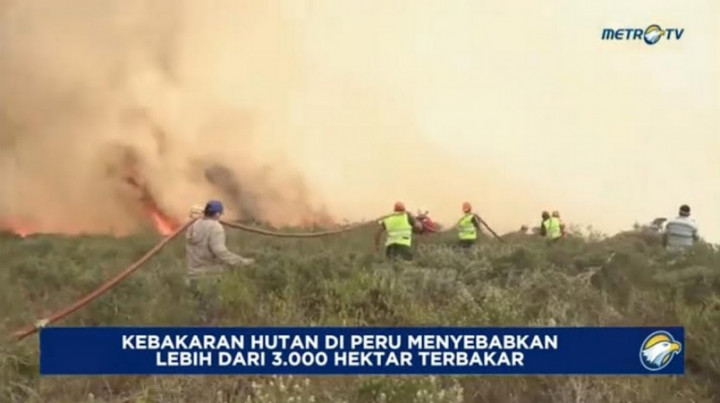 Kebakaran Lahan di Peru Hanguskan 3.000 Hektare Lahan