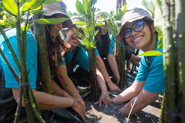 Sebanyak 36 mahasiswa menanam ribuan mangrove di event Kopdar Aksi Darling di KUB Simba Segara, Bali. (Foto: Dok. Siap Darling/BLDF)