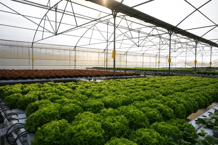 Beleaf Raih Perpanjangan Pendanaan Seri-A, Akselerasi Program FaaS dan Jaringan Global