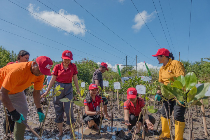 Ribuan Bibit Mangrove Ditanam di Badung Bali untuk Lestarikan Lingkungan