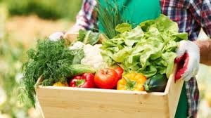 50 Nama Sayuran dalam Bahasa Inggris dari A-Z Beserta Artinya