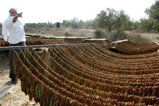 Rancangan Aturan Tembakau dan Rokok Elektronik Terus Picu Kontroversi