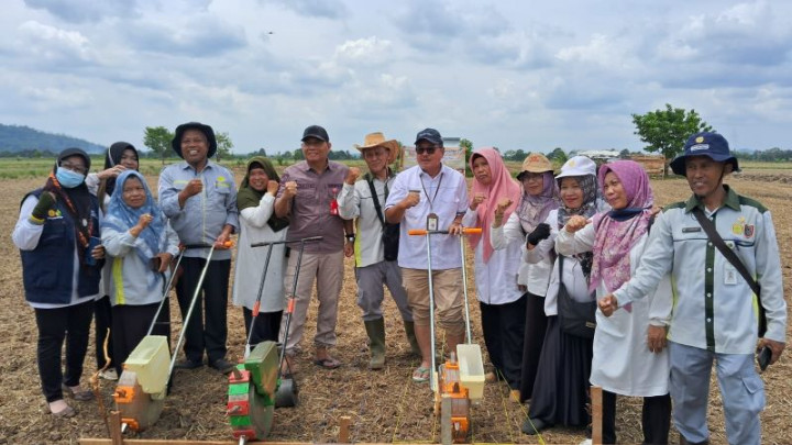 Pacu Program PAT, Kementan Lakukan Gerakan Tanam Serentak di Tanah Laut