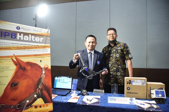 IPB Luncurkan IPBHalter, Alat Pantau Kesehatan Kuda Cegah Kolik