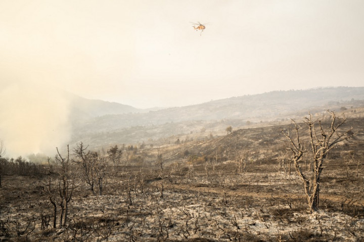 Kebakaran Hutan di Yunani Terus Berlanjut, Dua Orang Tewas