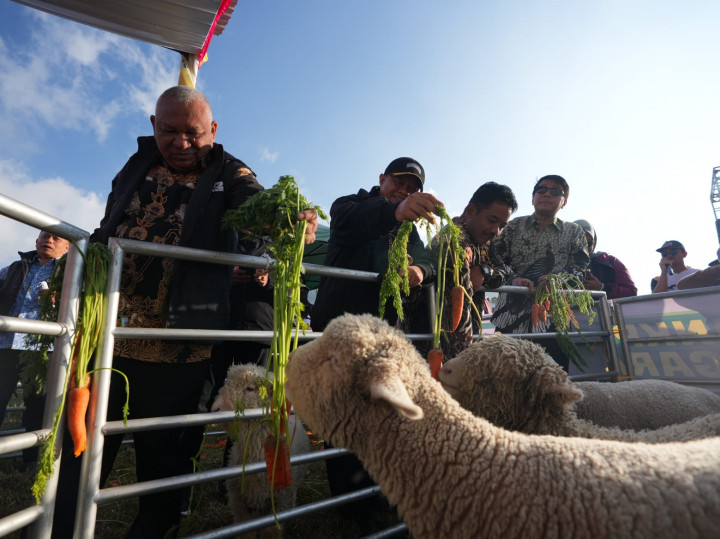 <i>Upland Project</i> Kementan Diharapkan Berlanjut dan Dirasakan Lebih Banyak Petani