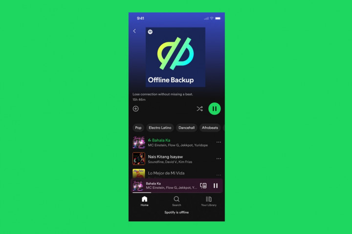 Spotify Offline Backup Otomatis Buat Playlist Saat Offline