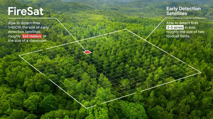 Kolaborasi Google Hadirkan AI Deteksi Risiko Kebakaran Hutan