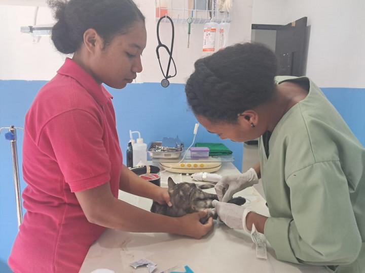 Jadi Dokter Berkat Beasiswa ADik, Amelia Balas Budi Ingin Buka Klinik Hewan di Timika