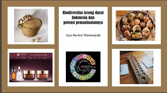 Peneliti BRIN Temukan 5 Kelompok Keong Darat yang Berpotensi Sebagai Obat Herbal