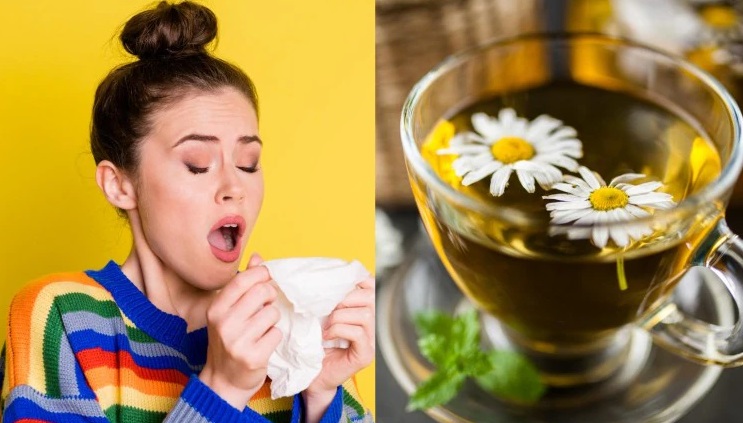 Khasiat antiperadangan chamomile dapat menenangkan saluran hidung. Ilustrasi-Healthshots