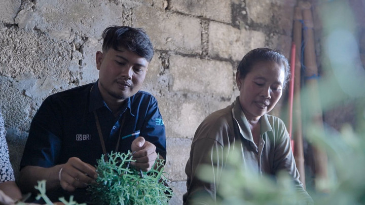 Pemberdayaan BRI Tingkatkan Skala Klaster Usaha Rumput Laut Semaya di Nusa Penida