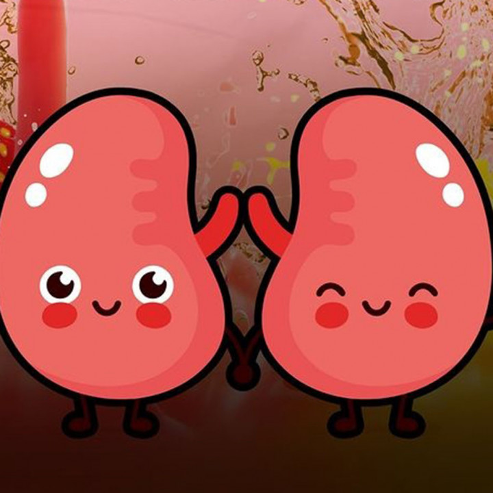 Cara Mudah Bersihkan Ginjal dengan 5 Jus Buah